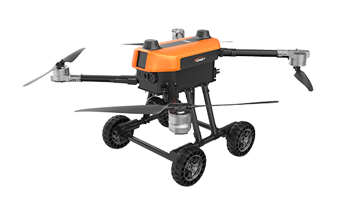 美女的隐藏部位是什么图片