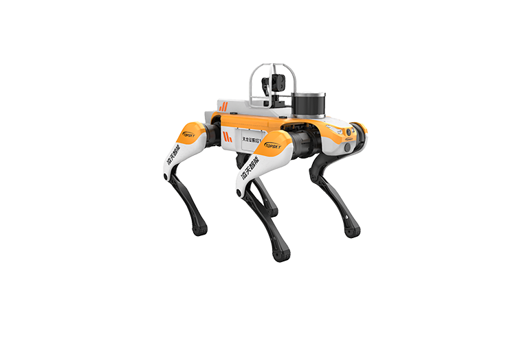 美女的隐藏部位是什么图片