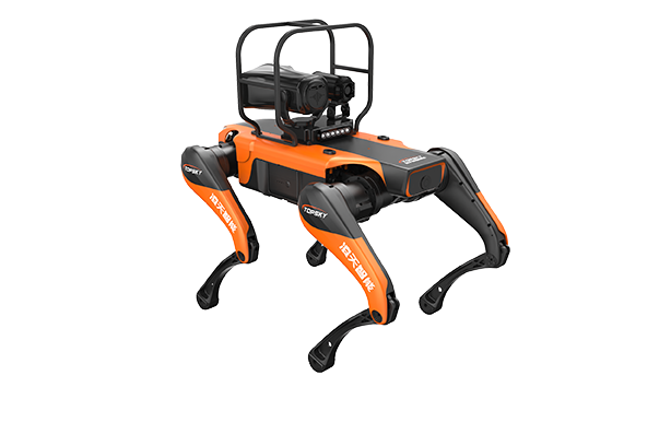 美女的隐藏部位是什么图片