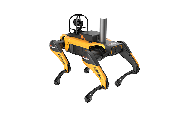 美女的隐藏部位是什么图片