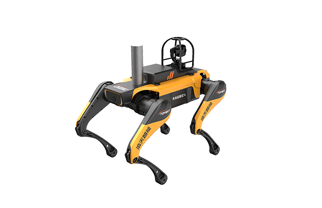 美女的隐藏部位是什么图片