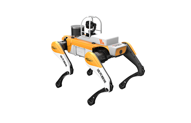 美女的隐藏部位是什么图片