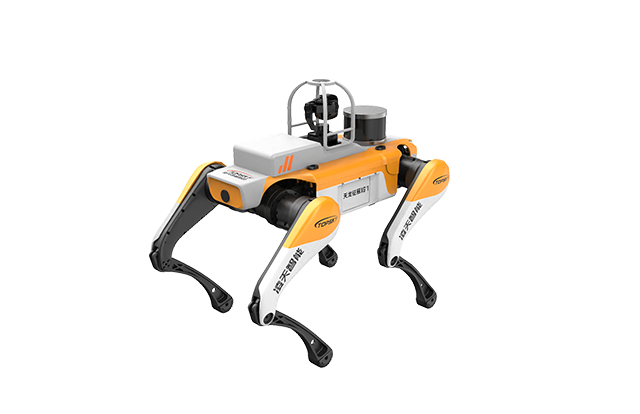 美女的隐藏部位是什么图片