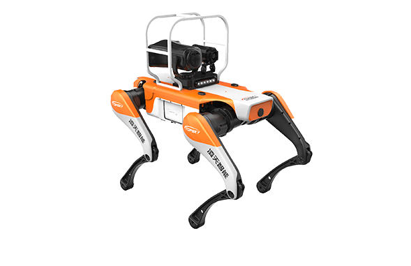 美女的隐藏部位是什么图片