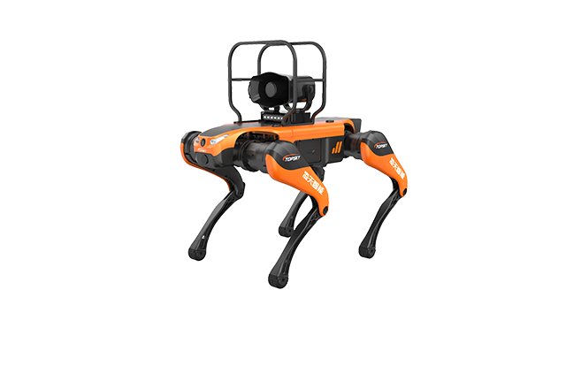 美女的隐藏部位是什么图片