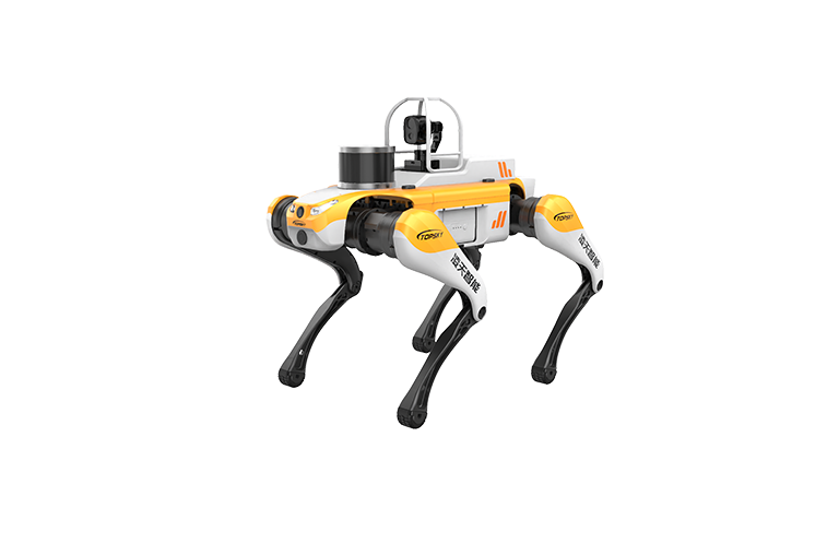 美女的隐藏部位是什么图片