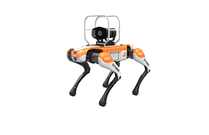 美女的隐藏部位是什么图片