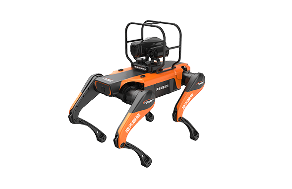 美女的隐藏部位是什么图片