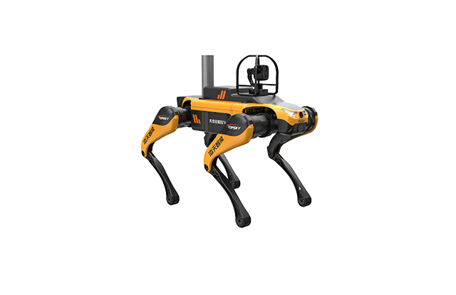 美女的隐藏部位是什么图片