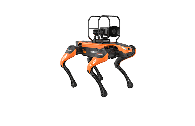 美女的隐藏部位是什么图片