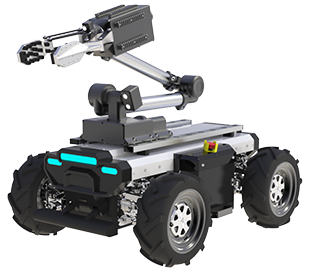 美女的隐藏部位是什么图片