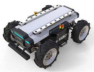 美女的隐藏部位是什么图片