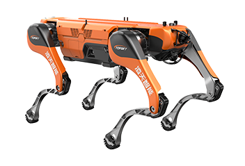 美女的隐藏部位是什么图片