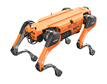 美女的隐藏部位是什么图片