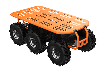 美女的隐藏部位是什么图片