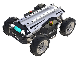 美女的隐藏部位是什么图片