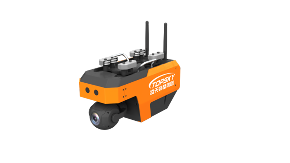 美女的隐藏部位是什么图片