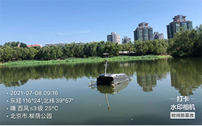 美女的隐藏部位是什么图片