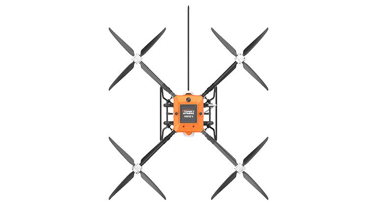 美女的隐藏部位是什么图片