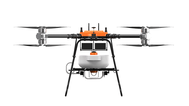 美女的隐藏部位是什么图片