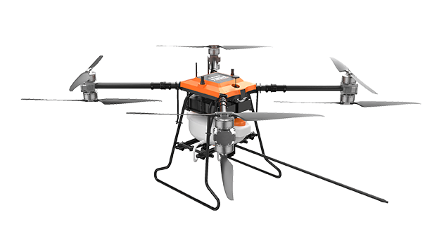 美女的隐藏部位是什么图片