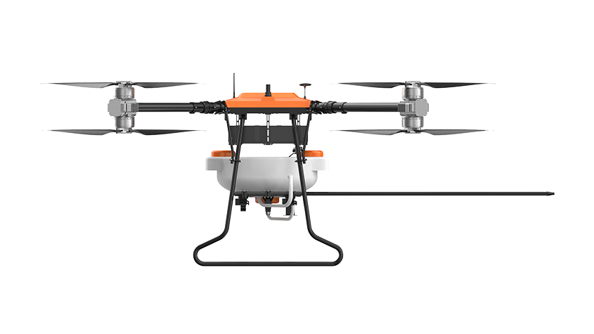 美女的隐藏部位是什么图片