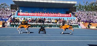 凌天携带四足机器狗、侦检无人机等高精尖装备走进校园，助力北京通州市马驹桥学校首届科技嘉年华