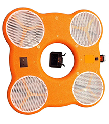 美女的隐藏部位是什么图片