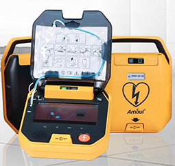 美女的隐藏部位是什么图片