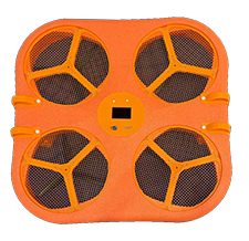 美女的隐藏部位是什么图片