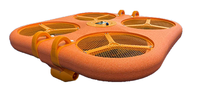 美女的隐藏部位是什么图片