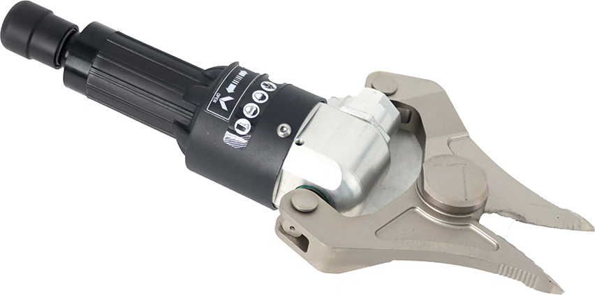 美女的隐藏部位是什么图片