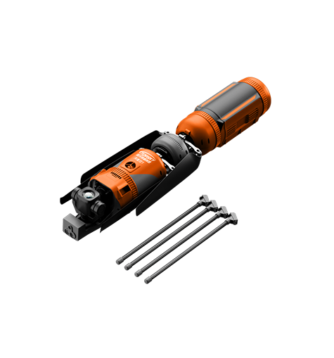 美女的隐藏部位是什么图片