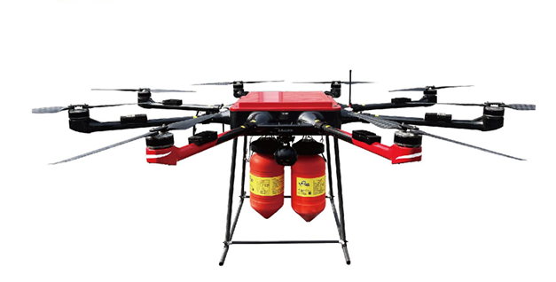 美女的隐藏部位是什么图片