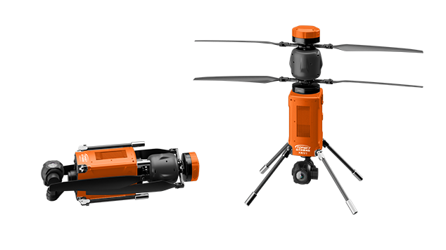 美女的隐藏部位是什么图片