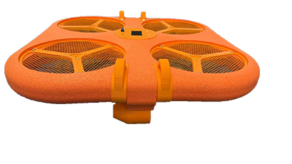 美女的隐藏部位是什么图片