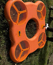 美女的隐藏部位是什么图片