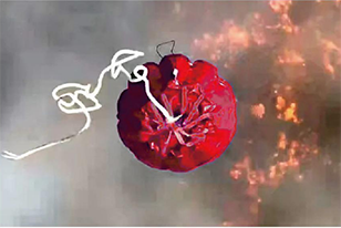 美女的隐藏部位是什么图片