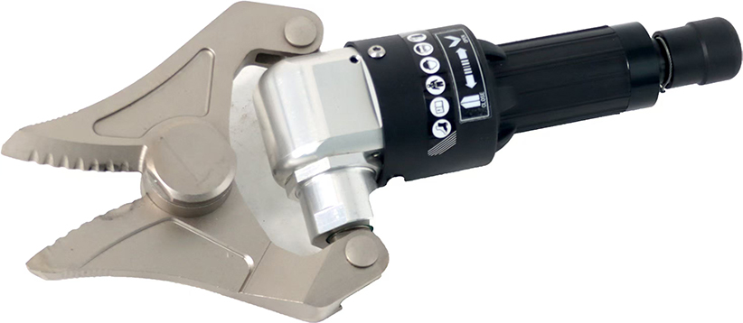 美女的隐藏部位是什么图片