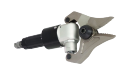 美女的隐藏部位是什么图片