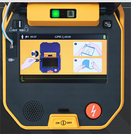 美女的隐藏部位是什么图片