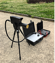 美女的隐藏部位是什么图片