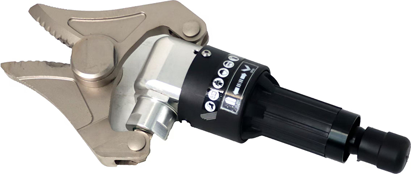 美女的隐藏部位是什么图片