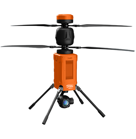 美女的隐藏部位是什么图片