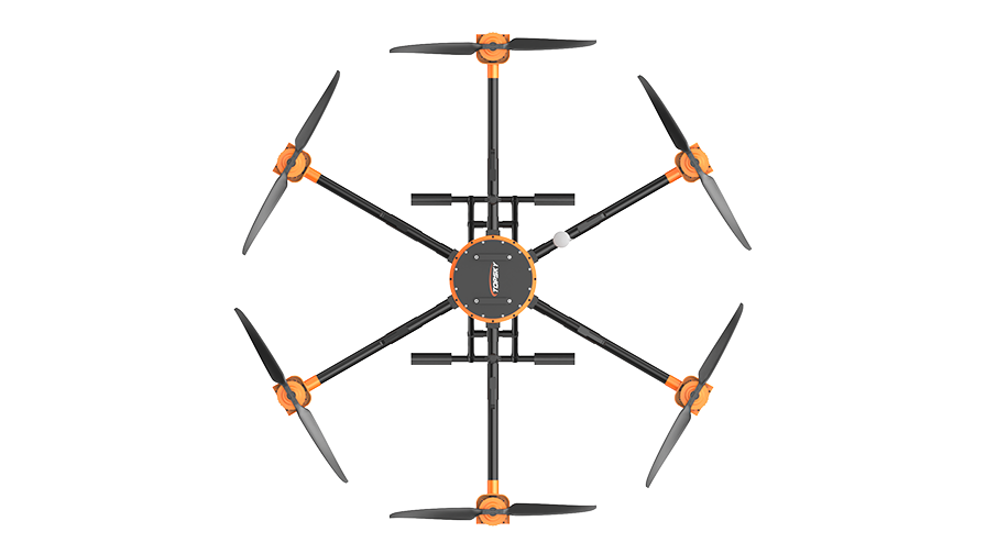 美女的隐藏部位是什么图片