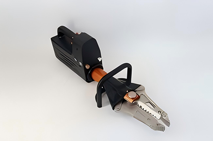 美女的隐藏部位是什么图片