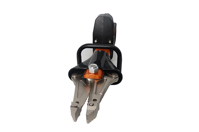 美女的隐藏部位是什么图片