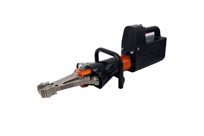 美女的隐藏部位是什么图片