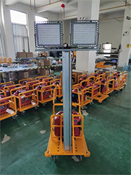 美女的隐藏部位是什么图片