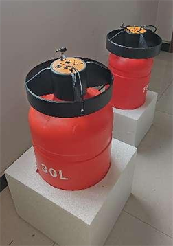 美女的隐藏部位是什么图片